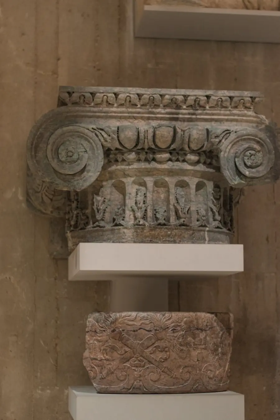 Novara, riapre il Museo Archeologico al Castello dopo vent’anni