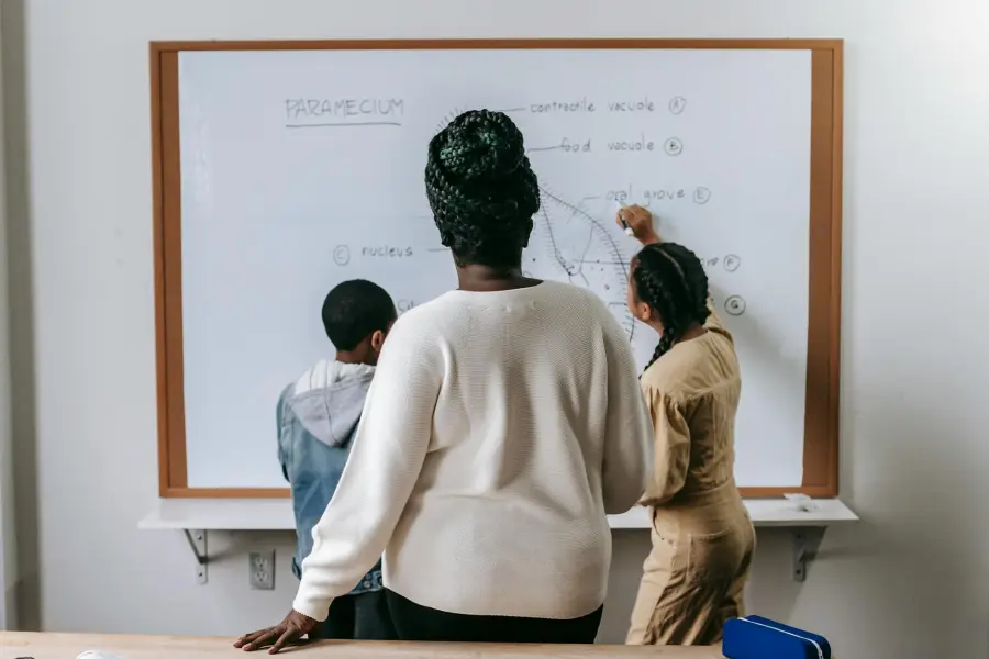 Novara, aperte dal 25 maggio le iscrizioni ai servizi scolastici comunali