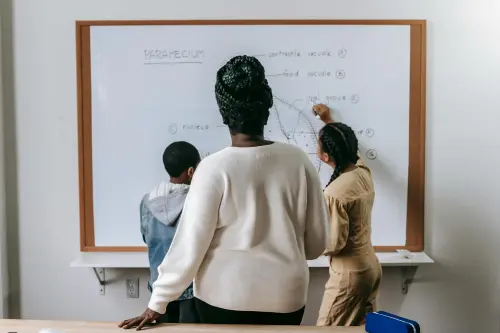 Novara, aperte dal 25 maggio le iscrizioni ai servizi scolastici comunali