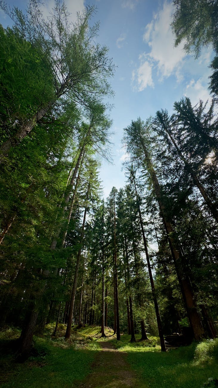 “Ecodivinità” a Novara, al Teatro Faraggiana uno spettacolo tra mito, ambiente e satira sociale
