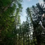 “Ecodivinità” a Novara, al Teatro Faraggiana uno spettacolo tra mito, ambiente e satira sociale