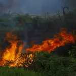 Novara, incendio in area industriale: Arpa controlla l’aria
