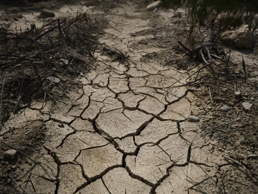 Siccità in Piemonte, verso lo stato di emergenza regionale