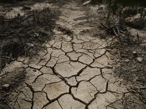 Siccità in Piemonte, verso lo stato di emergenza regionale