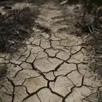 Siccità in Piemonte, verso lo stato di emergenza regionale
